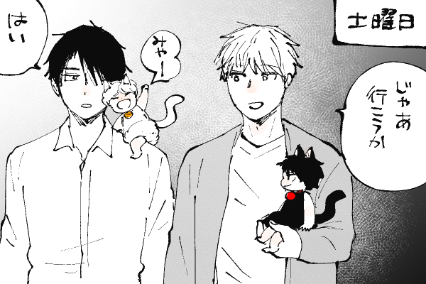 🐱キラキラにゃんこ生活
いざ‼️つがい集会😺 