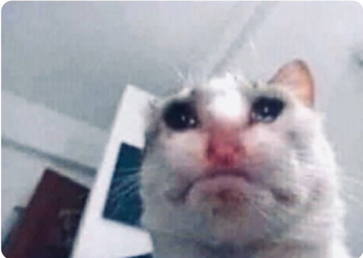 musadosmeme's tweet photo. eu: *choro*
namorado: você está chorando?
eu: não
namorado: olhe para mim
eu: https://t.co/8OPHDmDPmL
