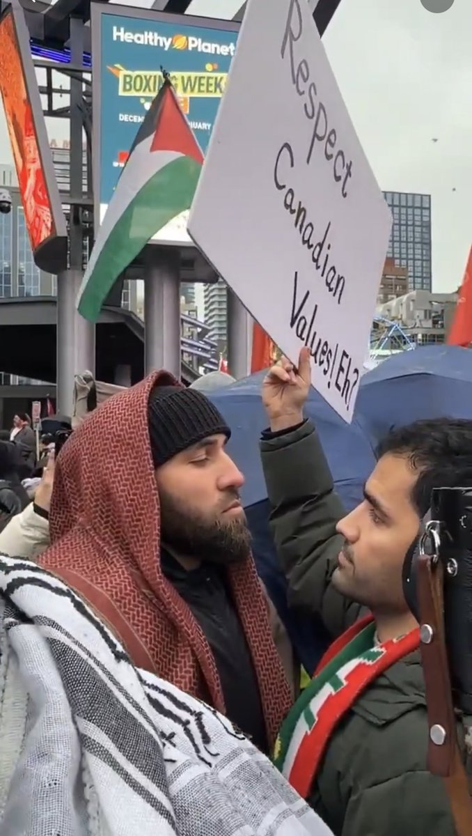 Siavash Safavi tweet media