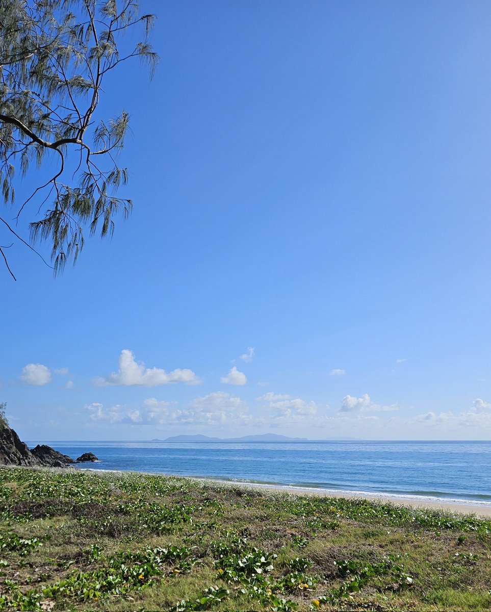 When the sea pulls back and exposes the seabed- Remember, the big wave is coming! 2024 is going to be a wild ride! Are you ready?