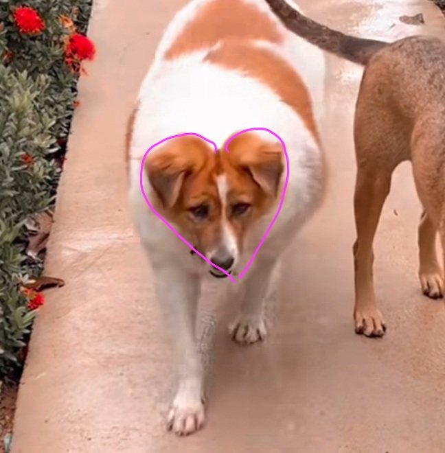 GeorgeBender68's tweet photo. @NiallHarbison How many hearts can you see on Cindy? So when I saw she had a heart name tag...it couldn't be more perfect. Cindy is a very pretty lady, and is doing amazingly with her weight!
🥰🩷🩷🩷🩷🩷🩷🩷🩷🩷 https://t.co/jK87ET48Fb