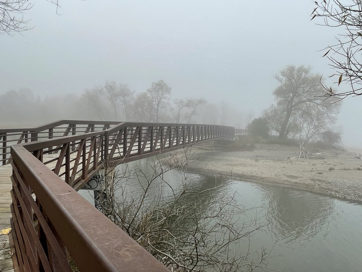 Eikichi133's tweet photo. @JieunleeMD It may be foggy and lonely but there is a pathway out… https://t.co/VU9TkbXm8T