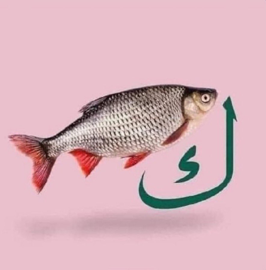 Abo Amar tweet media