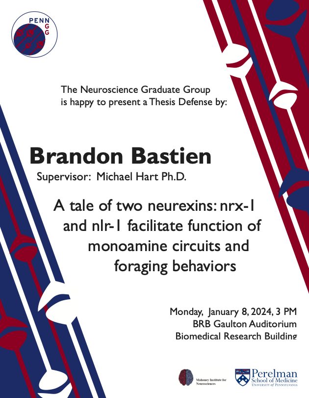 Penn NGG tweet media