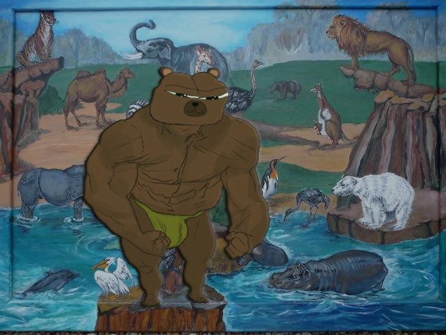 🐻BOBO🐻 tweet media