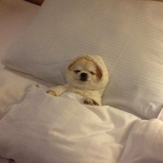 DozeCoinSol's tweet photo. When you get into bed and forget to turn off the lights $DOZE https://t.co/uXVZL3GuCV