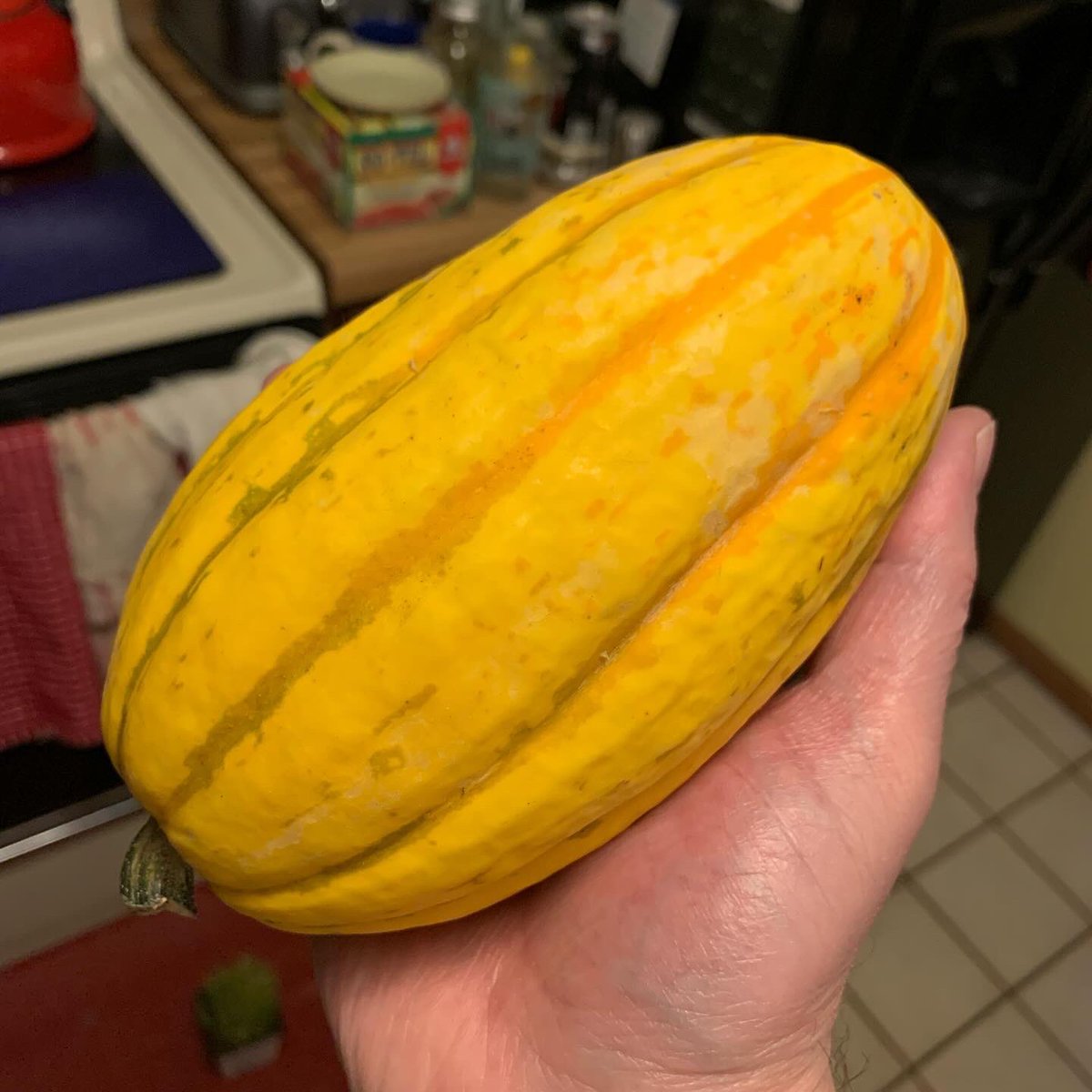 adtothebone's tweet photo. Roasting a Delicata (Bohemian) Squash
#roasted #roasting #squash #delicata #bohemianlikeyou https://t.co/yIp00nmWqK