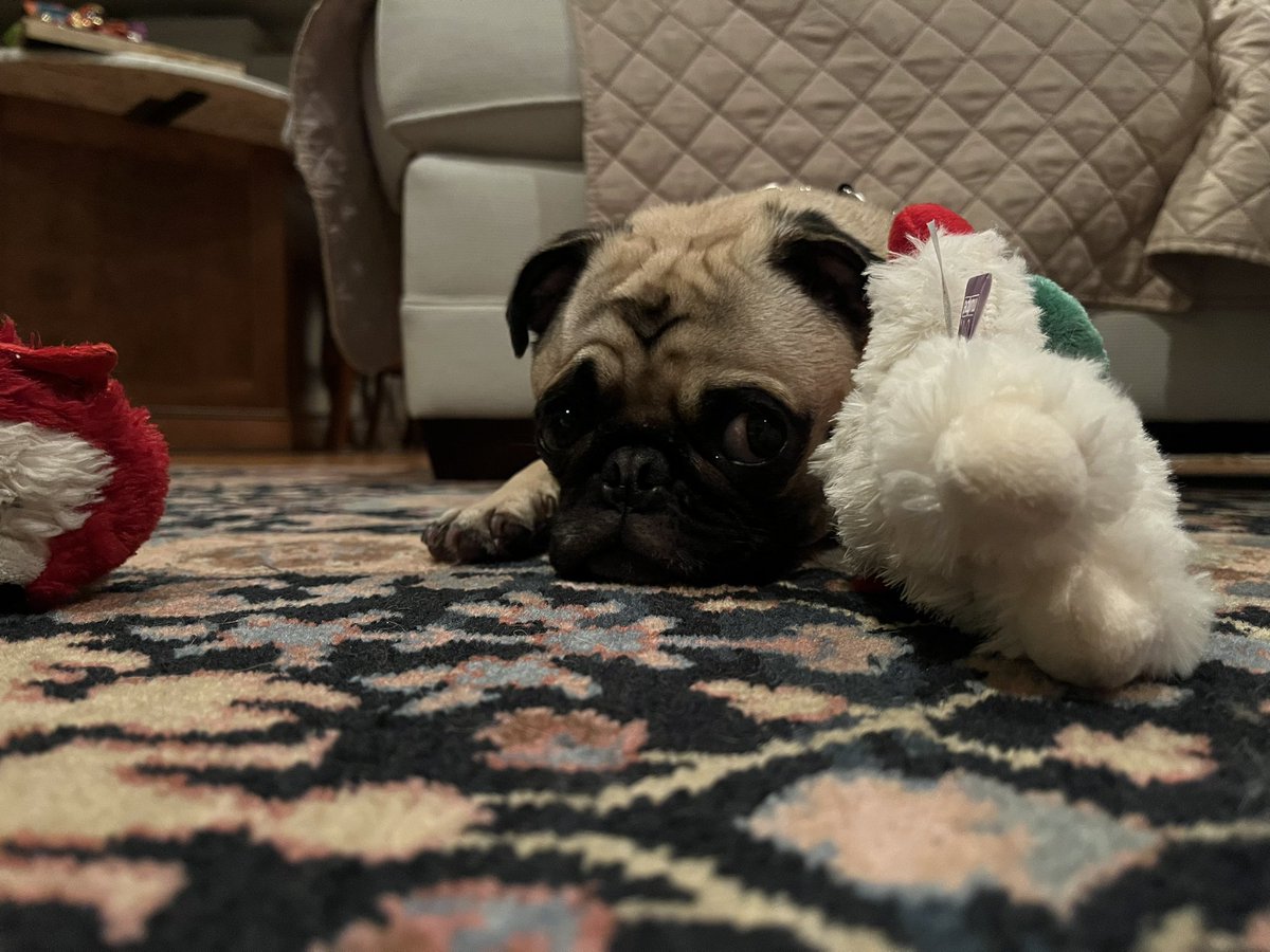 You’re telling me #PugTalk is already over? ☹️🥺😭