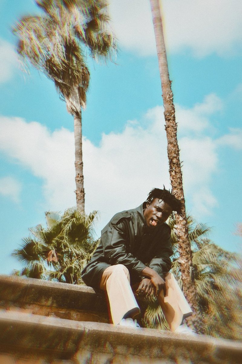 TheTongaDemon's tweet photo. Pretorian Palm Trees  🇿🇦 https://t.co/3FHJURQt3H