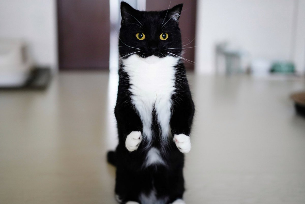 うにが立った！

Standing Uni! :3