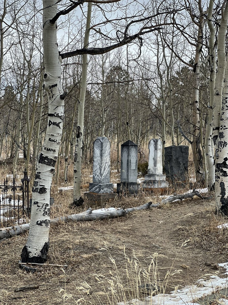 DocMassnick's tweet image. I’m out once more, delving into research in the vast expanses of the West. The journey for knowledge knows no bounds. The mountains in the distance stand as silent witnesses to the pursuit of discovery. #ResearchAdventures #WestwardHo #ExplorationSpirit #massnick #comingsoon2024