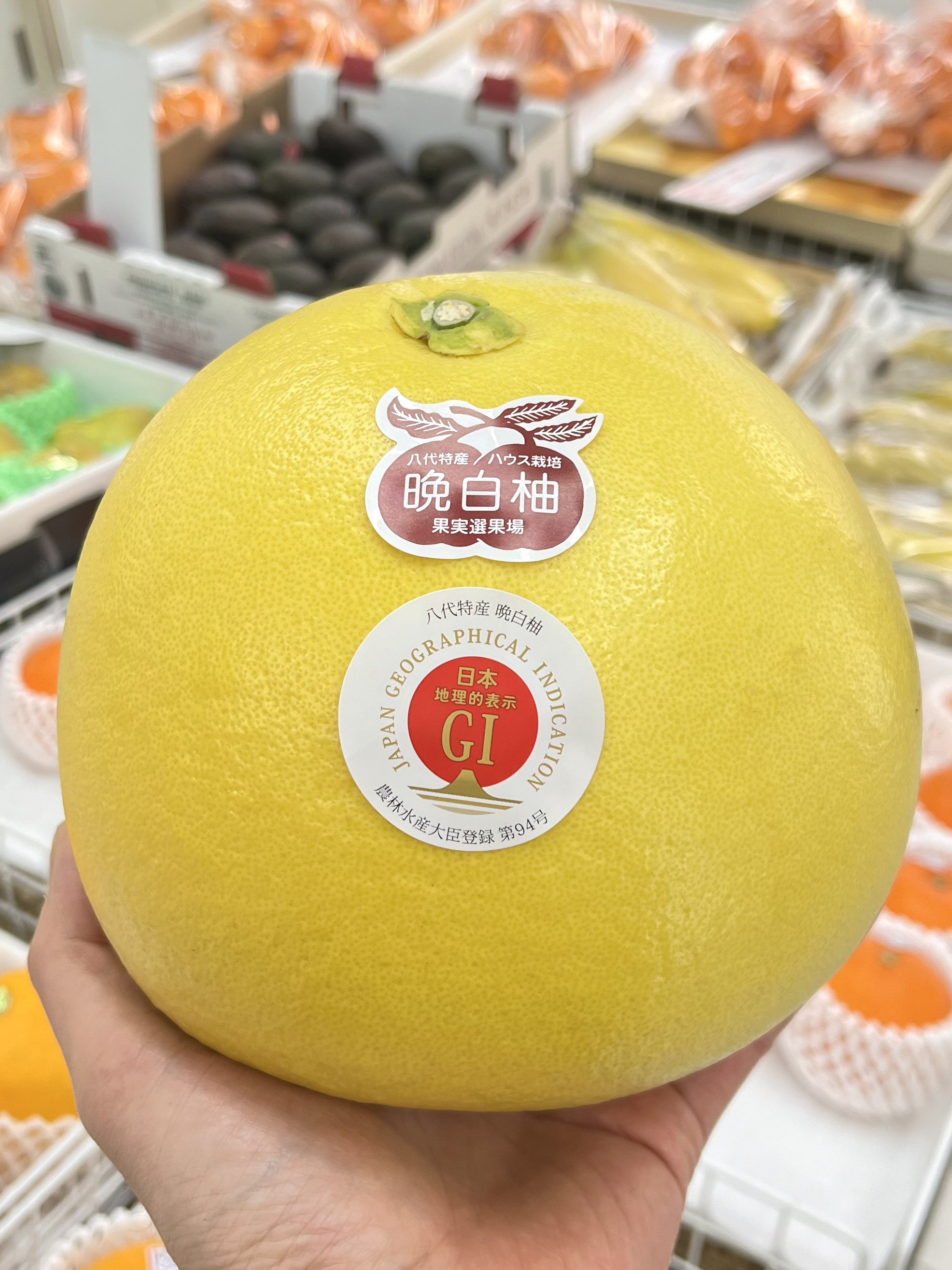 晩白柚☆様×4 前田さんの晩白柚 5.5㌔で世界記録更新 JAやつしろ | 新着情報一覧