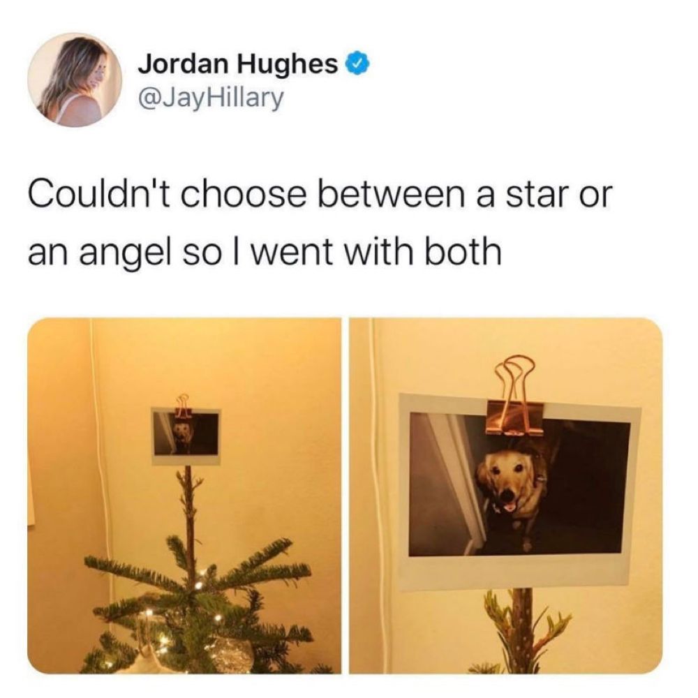 mckaylabugg's tweet photo. @s8n pawfect
https://t.co/GTM6rLTXIH
