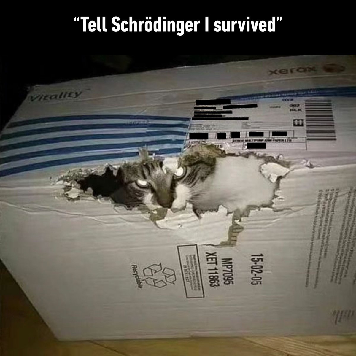 mckaylabugg's tweet photo. @HumansNoContext the face of seeking revenge
https://t.co/wGsZ4s1wwK