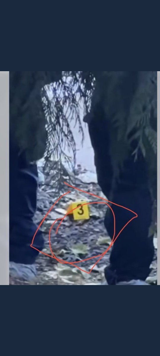 ProsserGang tweet media