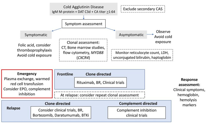 @drkeithsiau Suspected cutaneous thrombosis w/ hemorrhagic necrosis 2/2 cold agglutinin disease (CAD) DDx: frostbite, PNH, cryoglobulinemia, TAO, PAN CAD Management 👇🏼 [image source: @JahanzaibKhwaja via @Haematologica, haematologica.org/article/view/h…]