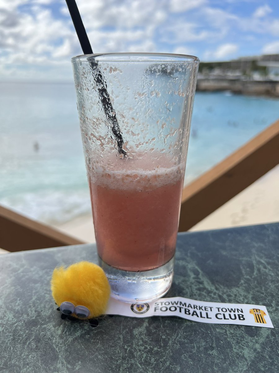 Sareyware's tweet photo. The @stowtownfc #StowBug started his day feeling quite spritely, but after a few rum cocktails, he had to take a nap! 😃🌴🍹 https://t.co/nYkS8pgMpp