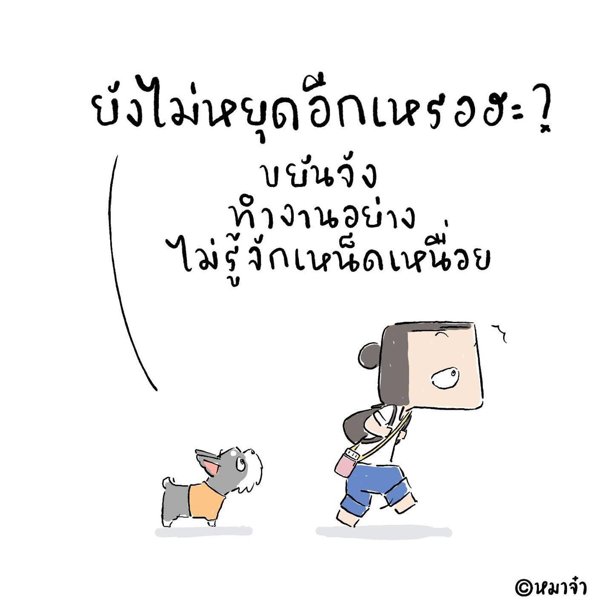 NumTect's tweet image. 