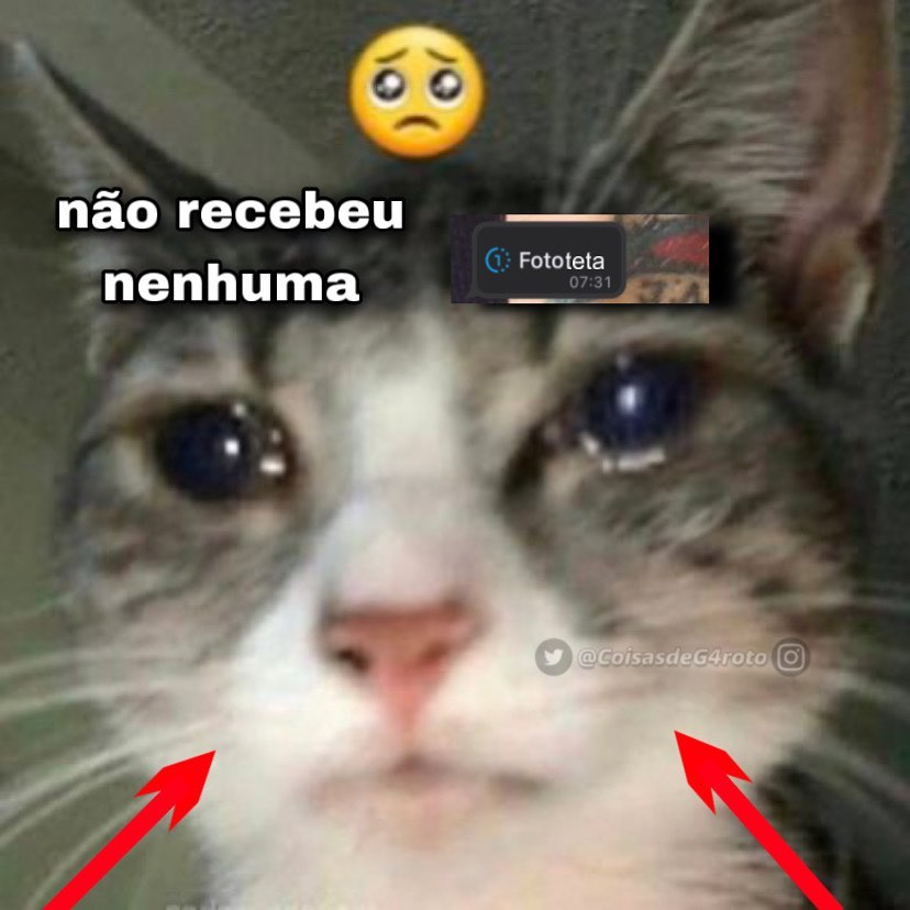 odeiootaco's tweet photo. https://t.co/Wbs0r74Qni
