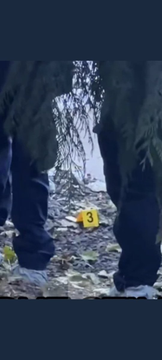 ProsserGang tweet media