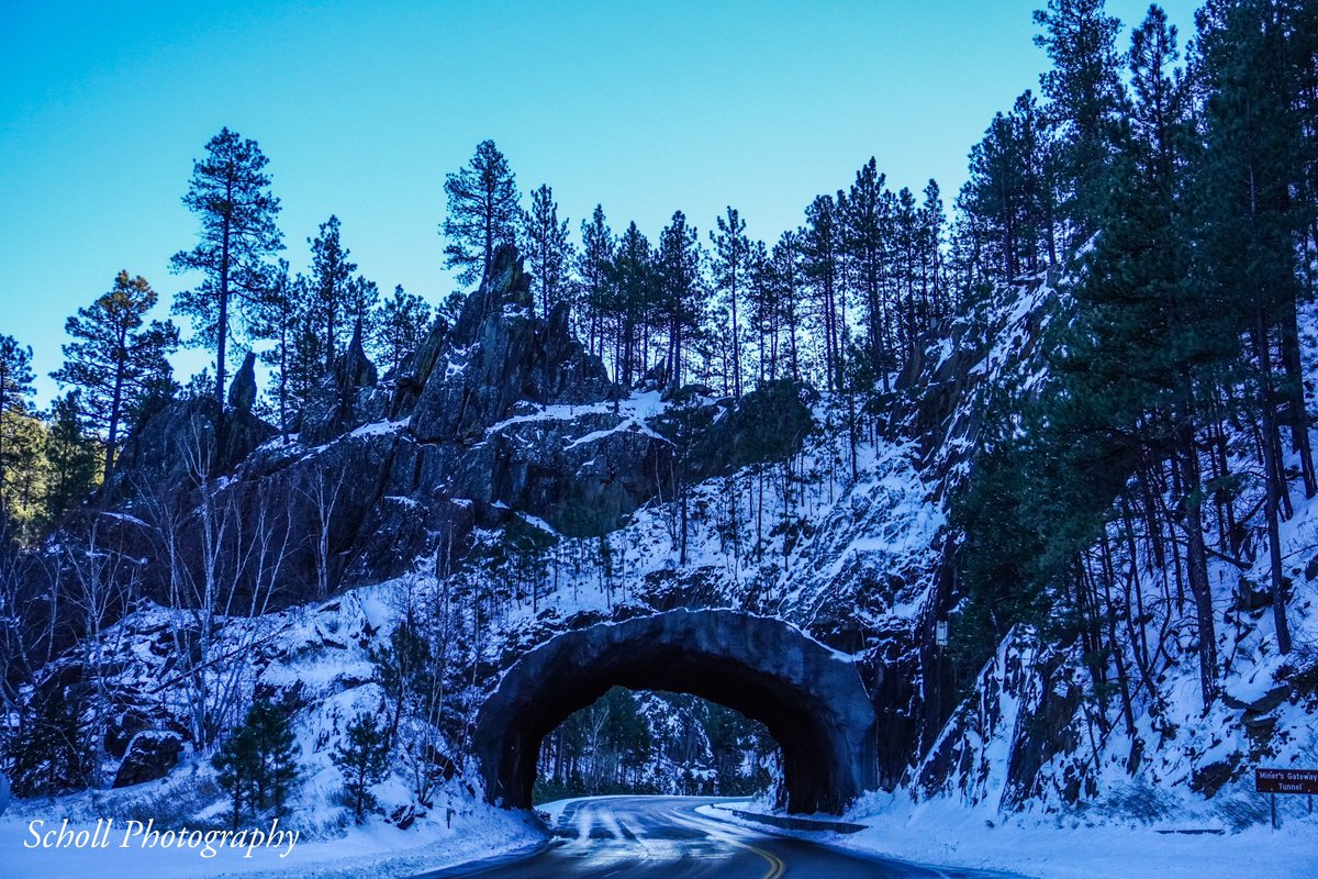 WxScholl's tweet image. What an amazing photography trip through the Wintery Black Hills Landscape today!!! #sdwx 

📸: Sony A6100