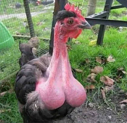 Co$mIcReD'sCrypto tweet media