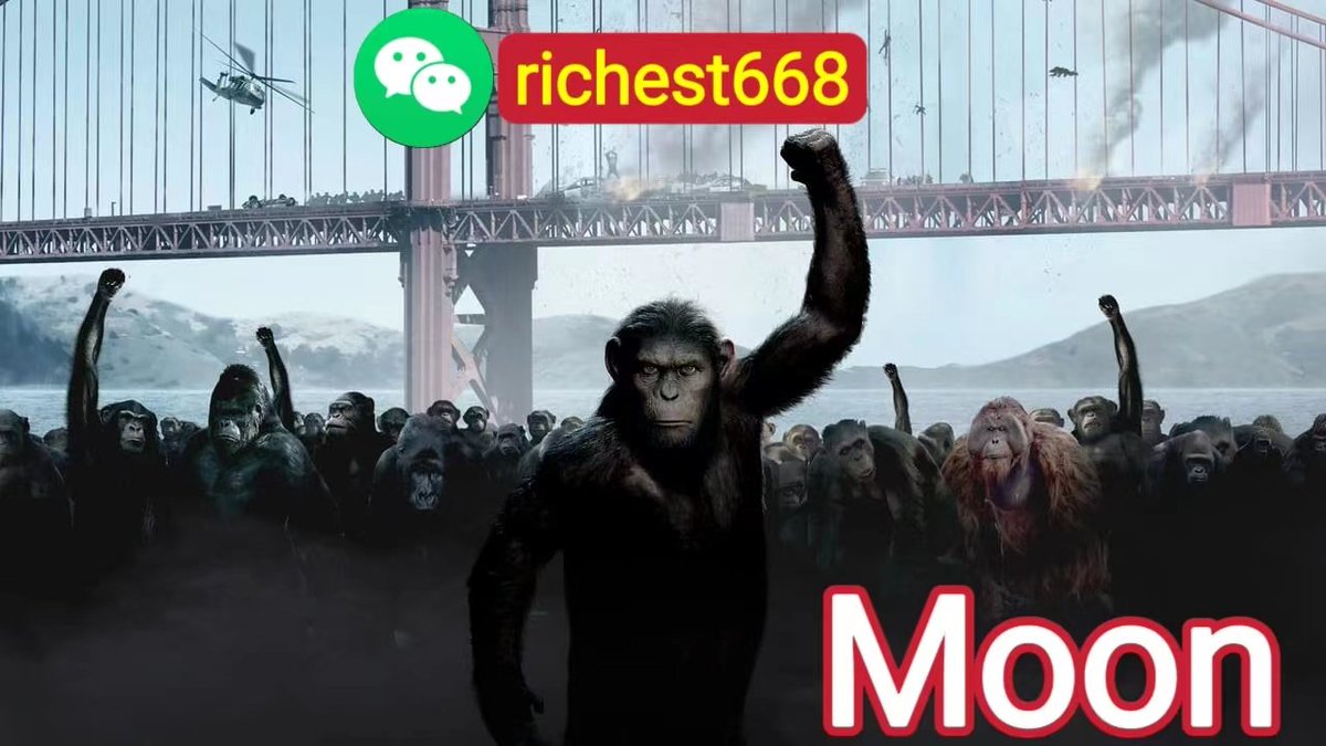 Rich18654140's tweet photo. 沉睡得大猩猩即将登上月球
#FEG #Crypto #DeFi
#Fegtoken #BNB #Binance
#smartdefi #TriumphFX #TFX https://t.co/phnPv4JT5t