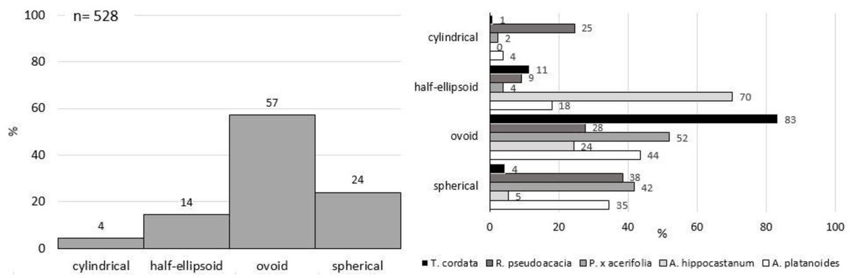 Forests_MDPI's tweet photo. ๐ฒ#Forests #HighlyAccessedPapers in 2022 Series-๐#article
"#CrownShapes of #UrbanTrees-Their Dependences on Tree Species, Tree Age and Local Environment, and Effects on #EcosystemServices", by Eleonora Franceschi et al.
๐https://t.co/qAff9h8WJE
๐ #crownvolume #climate https://t.co/mtn6Sd7Aqu