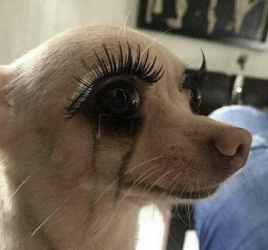 kxzzle's tweet photo. me thinking about the world where klay didn’t get injured, draymond isn’t shit and jordan didn’t get traded https://t.co/siQVUQMV0h
