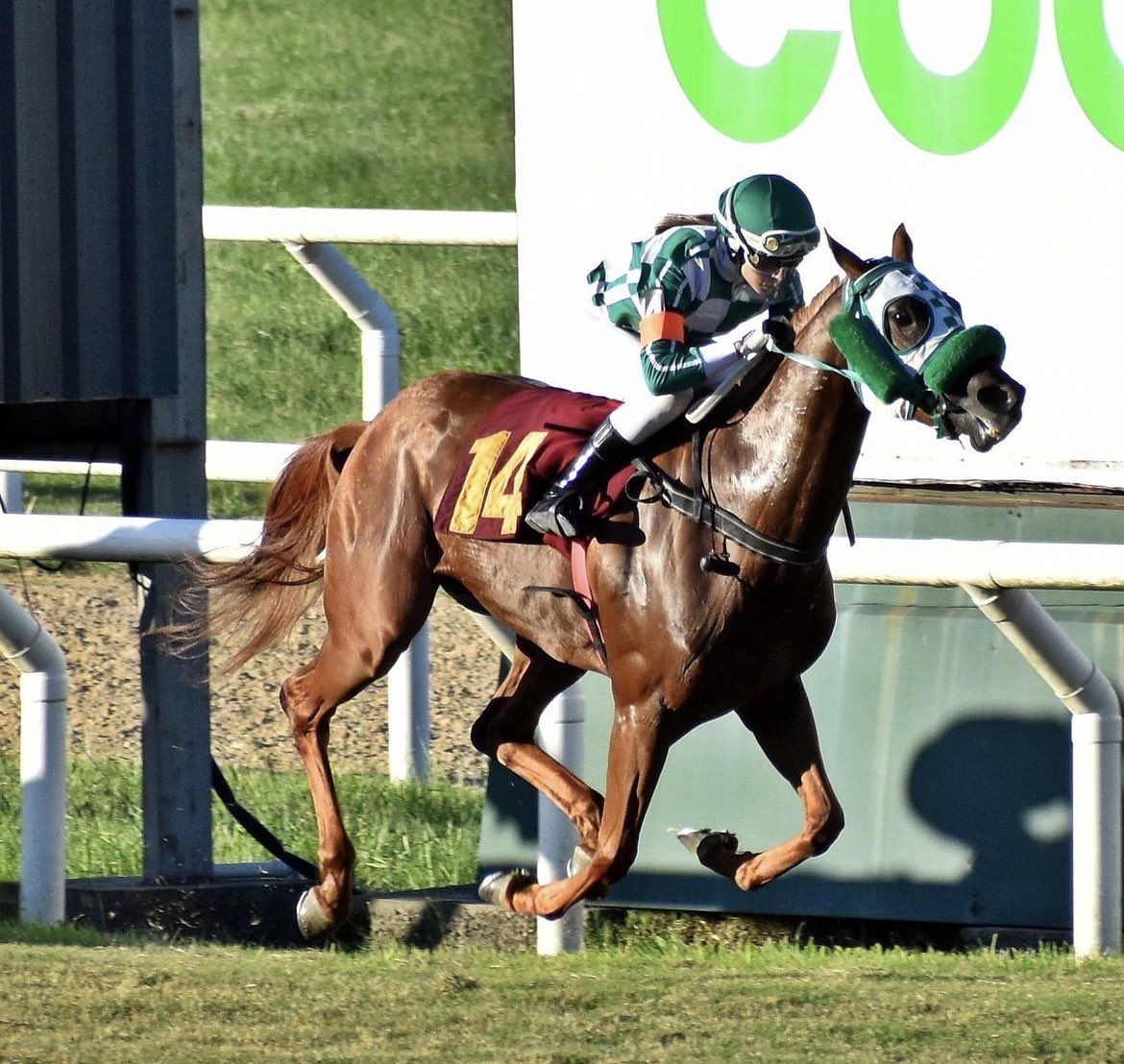 Mi primer Handicap &amp; mi primera ganada en césped!!
Gracias Dios🙏🏻Gracias pinga!🫶🏻