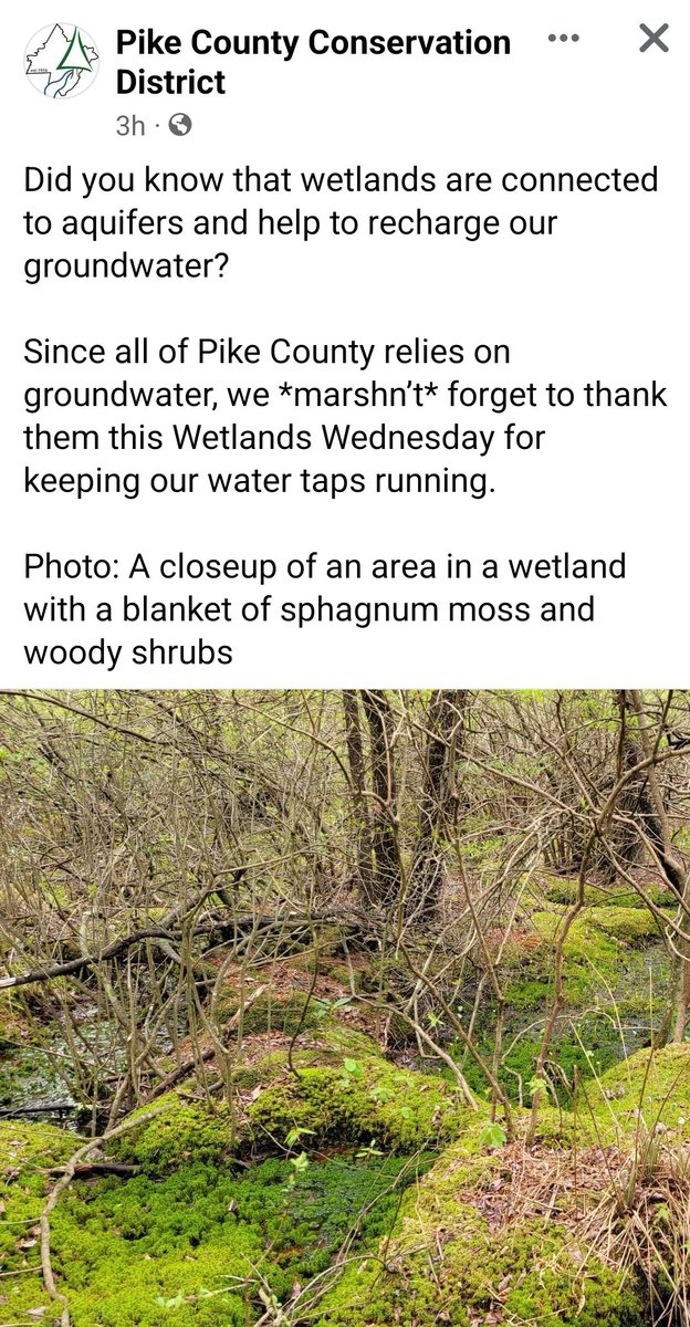 #DidYouKnow #WetlandsWednesday
Pike County, PA