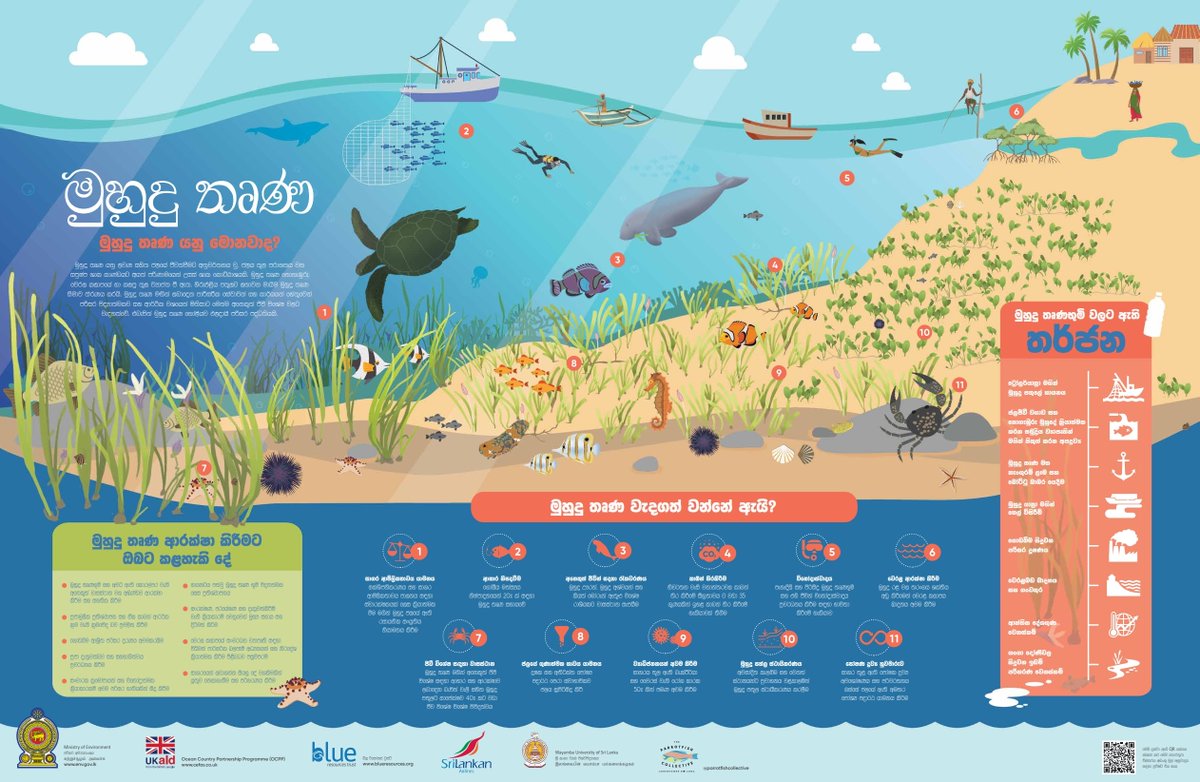 SusanthaUdageda's tweet photo. Seagrasses disappearing fast vital ecosystems vanishing like a football field every 30 min. They capture carbon 35x faster than rainforests! Our Blue Resources Trust made a tri-lingual poster for World Seagrass Day 2023. Join us in championing #SeagrassAwareness &amp; #ClimateAction! https://t.co/ybll3cRZaR