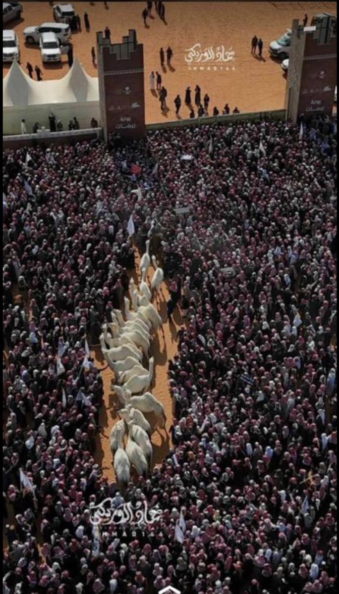 f_shmmmr's tweet photo. صكو على “الباشات” شرابة الكيف
وصارت مثل عين الهنوف الوسيعه.

#باشات_شمر
#شمر https://t.co/ChSP72mG2g