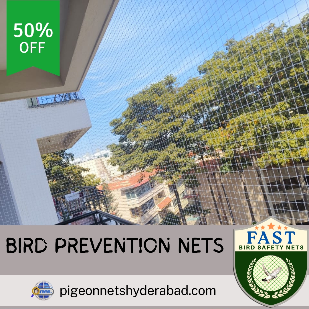AtNets35955's tweet image. 🚨 Keep your space bird-free with Fast Safety Nets! 🐦 Dial 9363632161 now to fortify your surroundings against avian intruders. 🏠✨ Learn more: pigeonnetshyderabad.com/bird-preventio… #birdcontrol #pigeonnethyderabad #birdnetinstallation #pigeonnetfixing