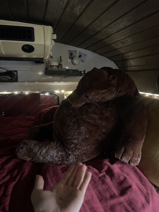 I think my girlfriend just replaced me with this big bitch. https://t.co/sW8DEZSJUJ