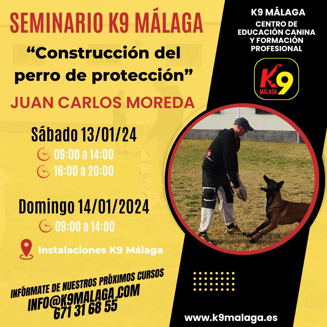 k9malaga's tweet photo. 📣 ¡Próximo SEMINARIO organizado por #K9Malaga!

📚 𝗖𝗢𝗡𝗦𝗧𝗥𝗨𝗖𝗖𝗜𝗢́𝗡 𝗗𝗘𝗟 𝗣𝗘𝗥𝗥𝗢 𝗗𝗘 𝗣𝗥𝗢𝗧𝗘𝗖𝗖𝗜𝗢́𝗡
🗣️  𝗝𝗨𝗔𝗡 𝗖𝗔𝗥𝗟𝗢𝗦 𝗠𝗢𝗥𝗘𝗗𝗔
📅 13 y 14 enero 2024
📍Instalaciones #K9Malaga en Cártama 

➡️ 𝑷𝑳𝑨𝒁𝑨𝑺 𝑳𝑰𝑴𝑰𝑻𝑨𝑫𝑨𝑺‼️

📥 Contacta por MD https://t.co/jfGvAjzj3g
