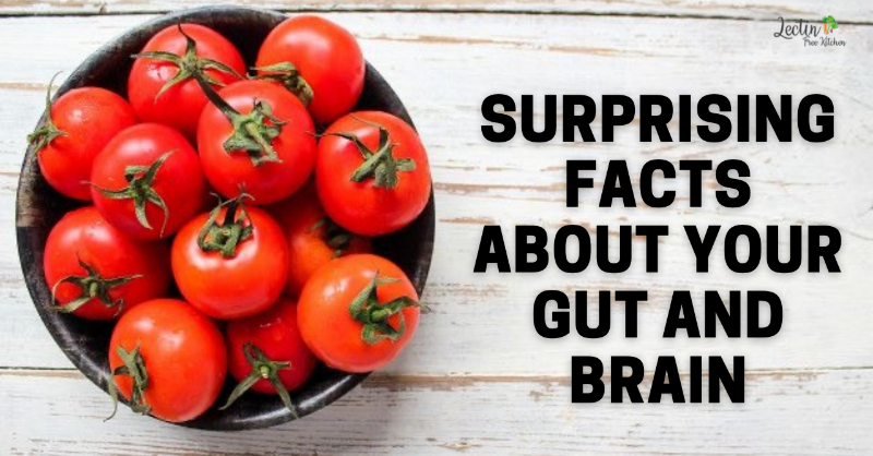 Lectinfreekitch's tweet photo. For every fiber leading from the brain to your heart, lungs, and your abdominal organs. There are nine times as many fibers leading up to the brain from the gut which is why gut health is important and shouln't be ignored. 🍅  #guthealth       https://t.co/UbPEn8KO3s