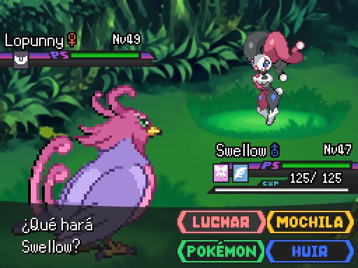 _DUALIDAD_'s tweet photo. Como ya dije, este año procuraré currármelo con las scans de los cojoncios hehe.

Para ir calentando, aparecerán unas 40 formas regionales aprox a lo largo de vuestra aventura por Ykeos, Pokémon de to's los tipos, de to's los tamaños, ¿algunos de estos os pueden molar? os leo. https://t.co/T8fUv8y1Ap