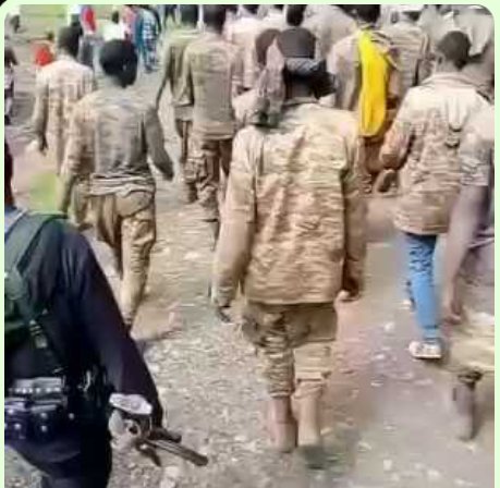 AmharaArmy's tweet photo. አገዛዙ እያበቃለት ነው!
===
እኛም እየመጣን ነው!
=
በአስደናቂው የደብረብርሃኑ ኦፕሬሽን የተማረኩ የአብይ አህመድና የብርሐኑ ጁላ ወታደሮች https://t.co/q42Px5JsFe