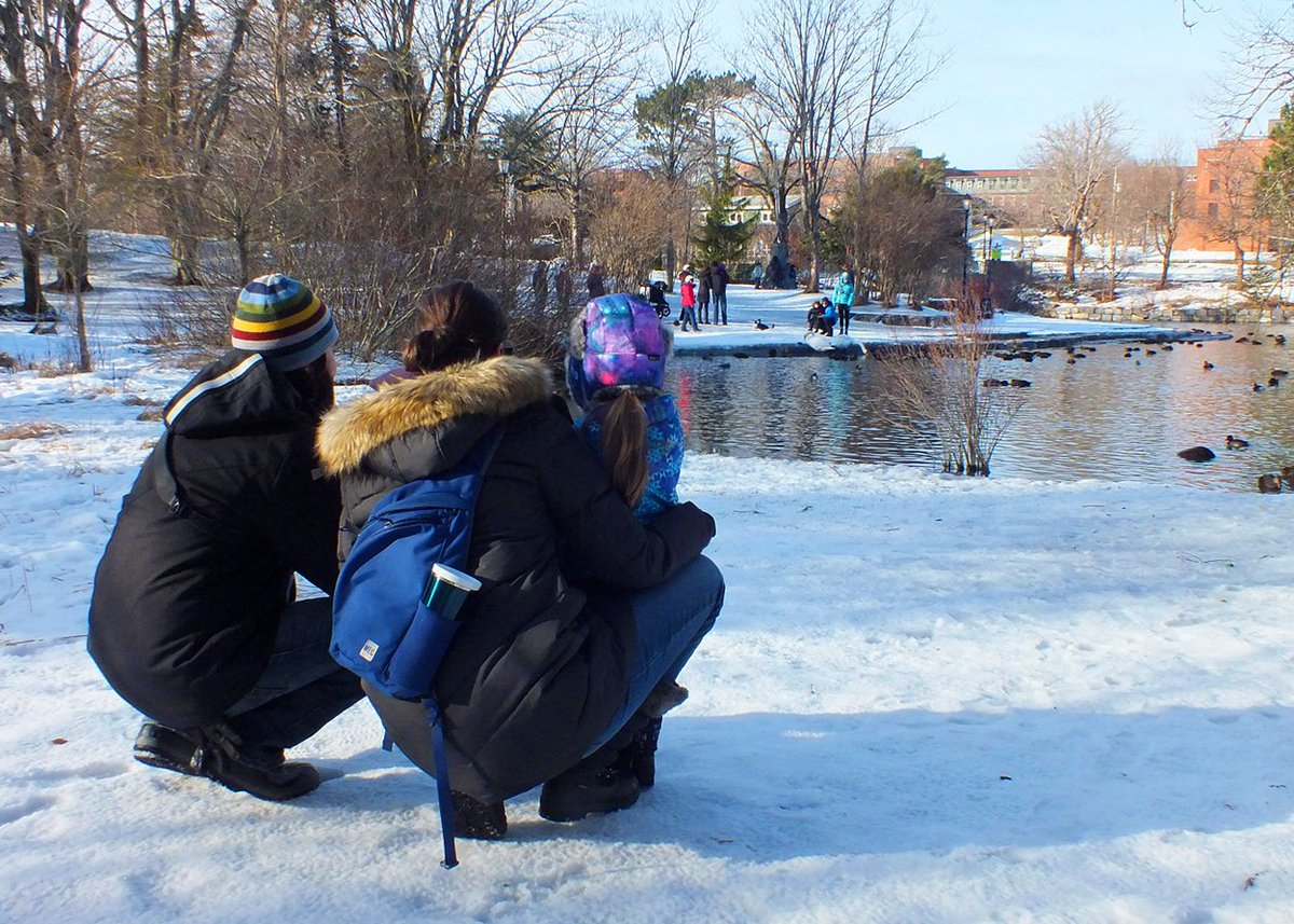 Hope you get to enjoy some beautiful winter days in Bowring Park @CityofStJohns in 2024!