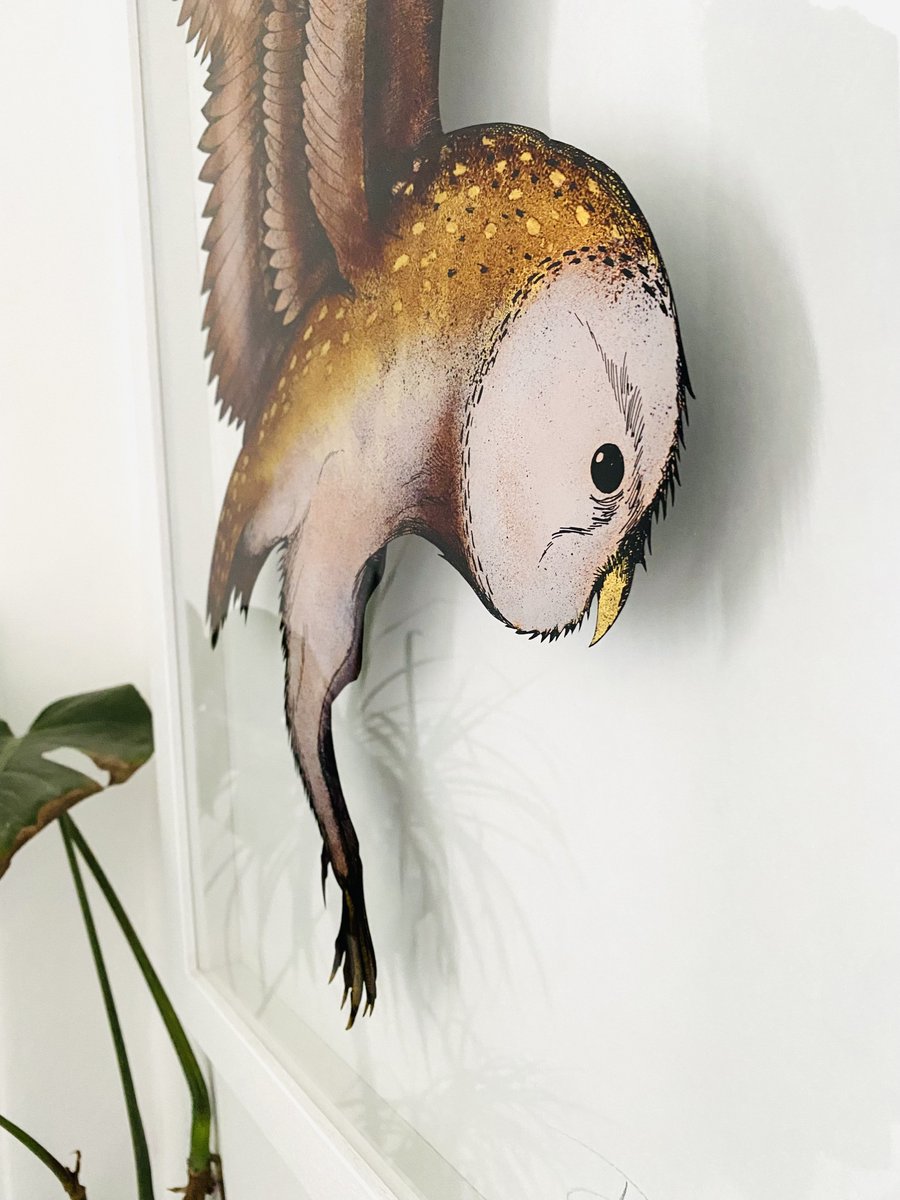 ReverseGilder's tweet photo. 🦉‘Barn Owl’🦉…now up on the website…
reverse painted and gilded in copper and 24kt gold leaf  
https://t.co/wYl8zdiNoz
.
#barnowl #wildlifeart #wildlafeartist #heritagecraft #contemporaryart #owlart #galleryart #artcurator #artcollector #fineart #devonlife #barnlife https://t.co/7cZFhEIssC