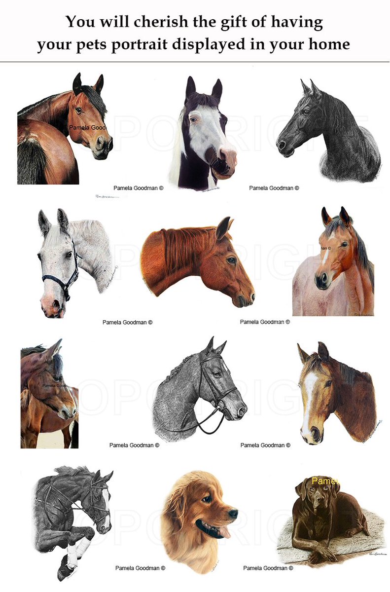 Some of my newest commissions
professionalpetportraits#gifts #horses #dogs #memorials  #petloss #peturn #petportrait #petportraits #petportraitartist #petmemorials #custompetportraits  #pets #petsuppliesetportraitsartist #petportraitcommissions #gift #gifts
#birthday #anniversay