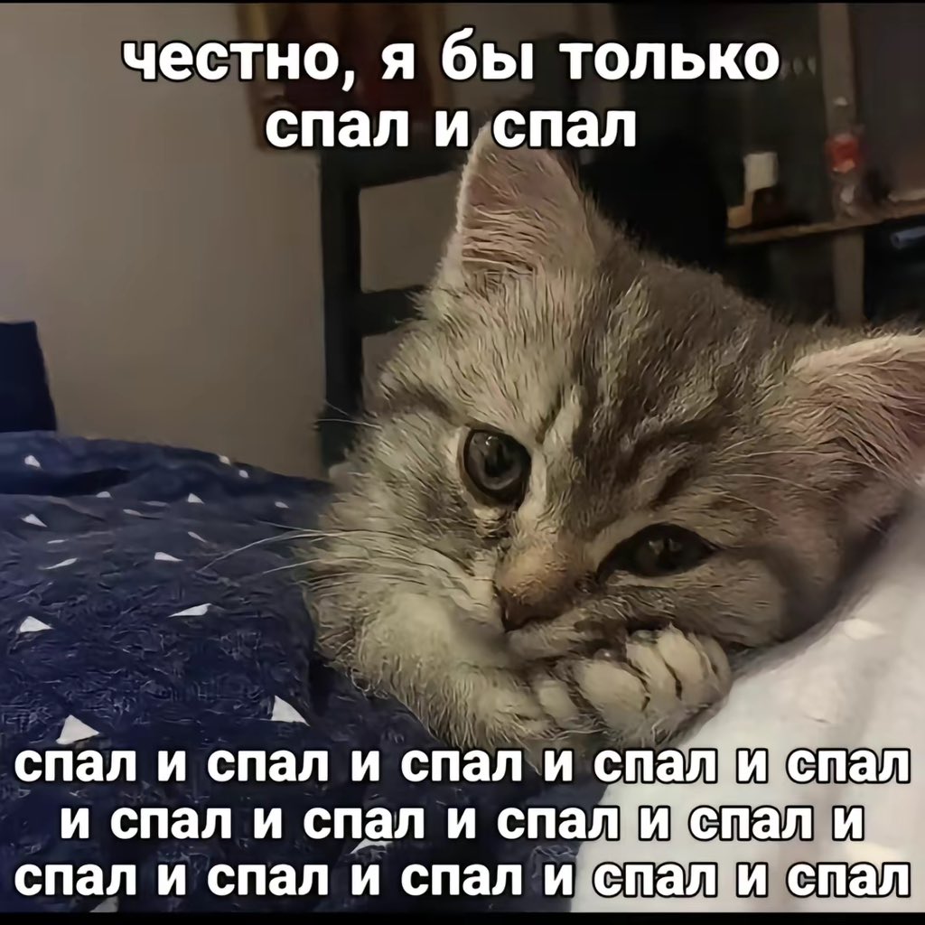 жуз (@juzzepppe) on Twitter photo 