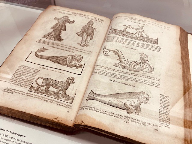 BristolLibrary's tweet photo. We've gone all 'Weird &amp; Uncanny' at Central Library for January.  This is the third in a series of exhibitions we have put together for @LKN_Libraries @britishlibrary Fantasy: Realms of imagination exhibition. Pop in for a visit ... if you dare! https://t.co/mMSwvrKVK1