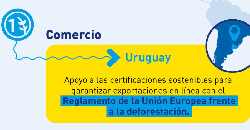 fiap_es's tweet photo. 👋🏾 ¿Conoces los #LogrosCooperaciónPública 2023 en #justicia ⚖️ y #comercio 🔄?

🎯 Hemos contribuido a impulsar grandes avances en Uruguay, Perú, Bolivia o África Continental. 

¡Te lo contamos en el #BlogFIIAPP! 👇🏾