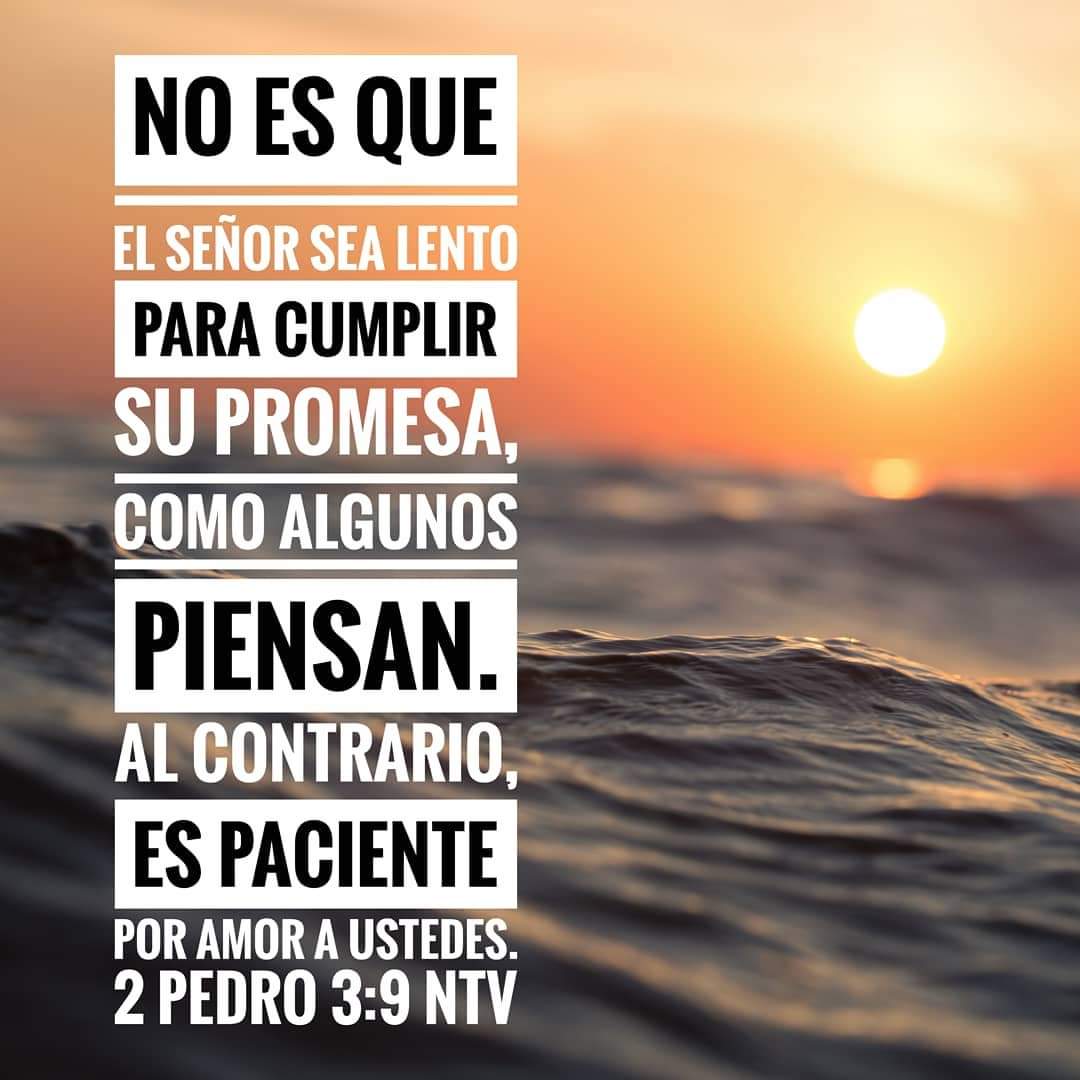 gonzarehtanz1's tweet photo. Amén 🙏🏻 https://t.co/yEGFZ3xz8d