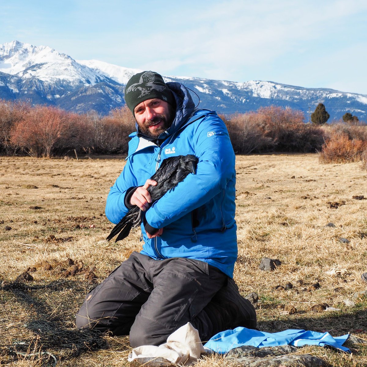 Ein herzliches WILLKOMMEN an unsere neuen Assistenzprofessor:innen 👏🕺🥳

→ Dagmar Gotthardt, Pharmakologie und Toxikologie (<a href="/GotthardtDagmar/">Gotthardt Lab</a>) 
→ Christof Bertram, Pathologie 
→ Matthias Loretto, Bewegungsökologie in der Wildtierforschung (<a href="/MatthiasLoretto/">Matthias Loretto</a>)
