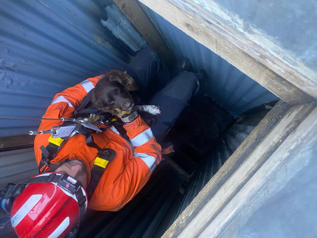 TWFRS_USAR_Dogs's tweet photo. Great few days confined space and safe working at height training with our ISAR Canine Teams 🐾🐾 @Norfolkfire @WestYorkshireF2 @LFRS_USAR @firesearchdogs @FireResilience https://t.co/dLKS4WBAPr
