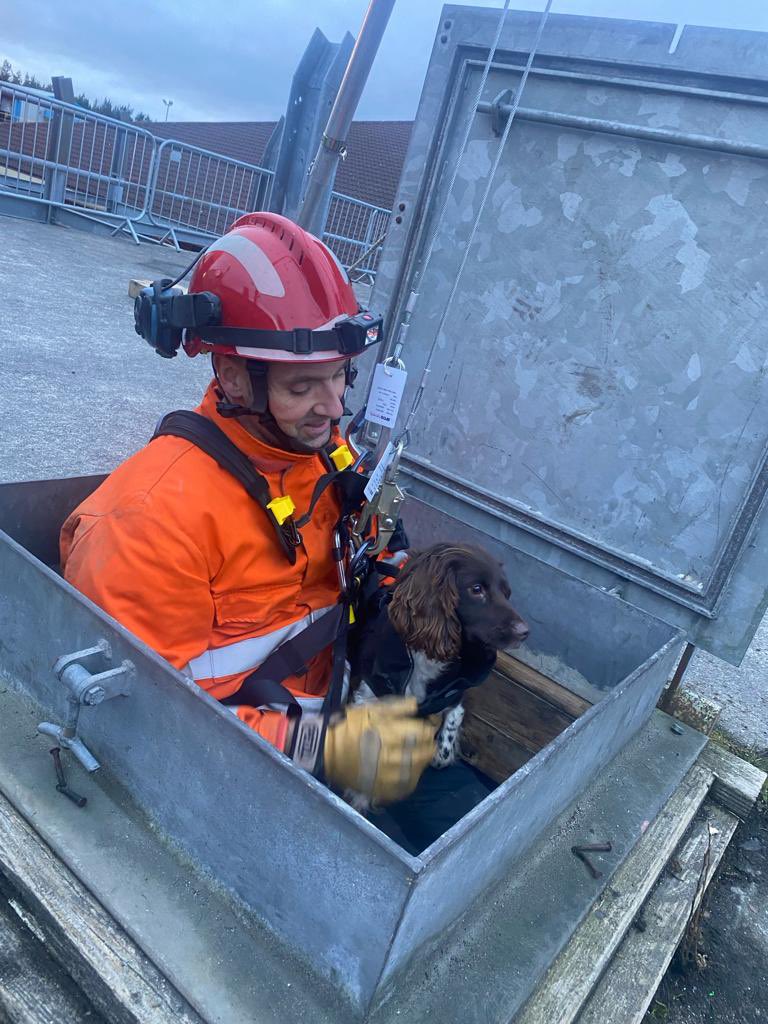 TWFRS_USAR_Dogs's tweet photo. Great few days confined space and safe working at height training with our ISAR Canine Teams 🐾🐾 @Norfolkfire @WestYorkshireF2 @LFRS_USAR @firesearchdogs @FireResilience https://t.co/dLKS4WBAPr