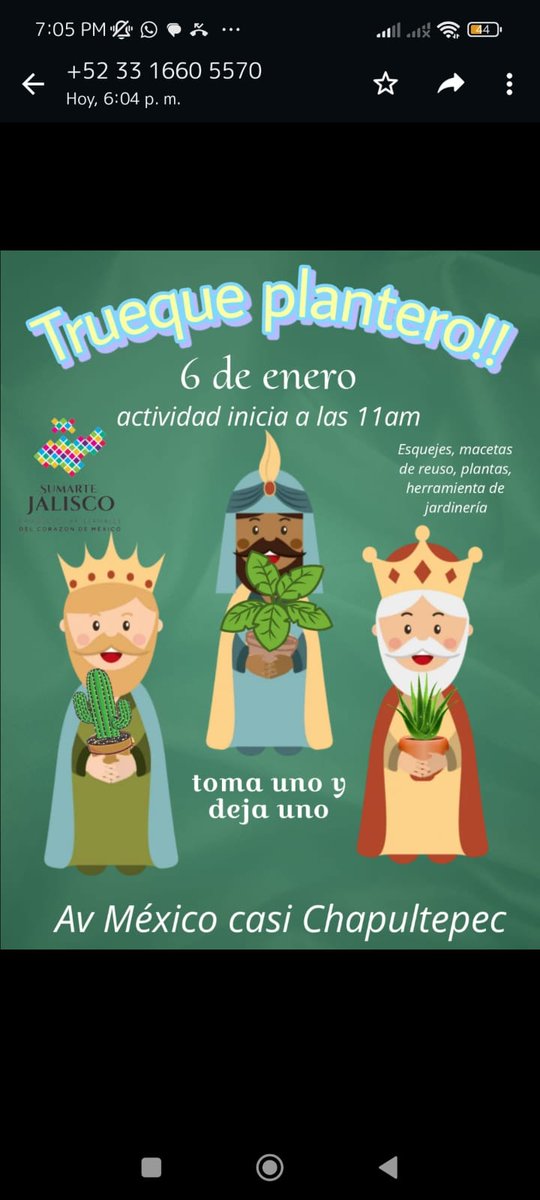 SumarteJalisco tweet media